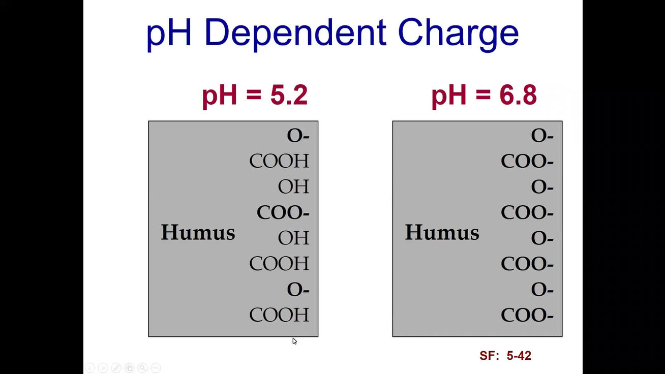NM Area 5- Soil pH and Liming Sources- Jemison